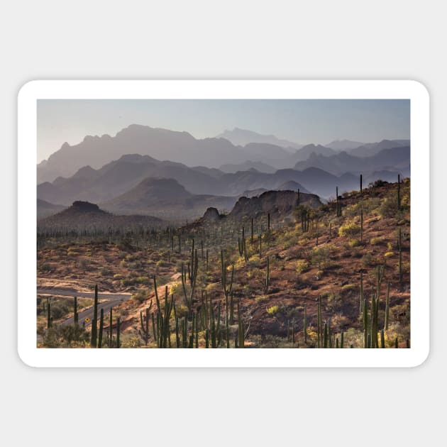 Baja Mountains Sticker by dawn2dawn